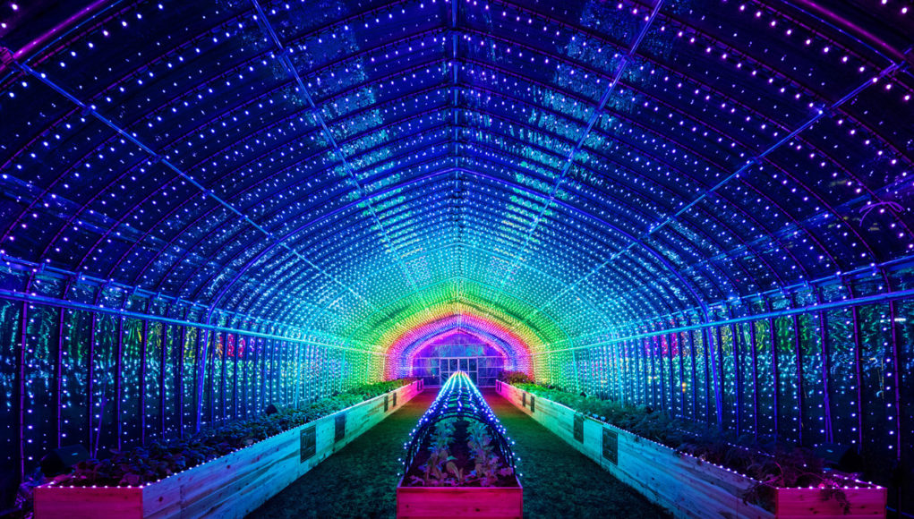 ROSANNE KATON Archives - Playboy Magazine